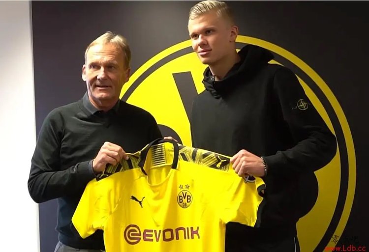 用章节卡点 用章节卡点