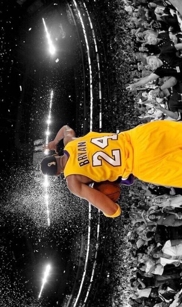 保护与退防 保护与退防